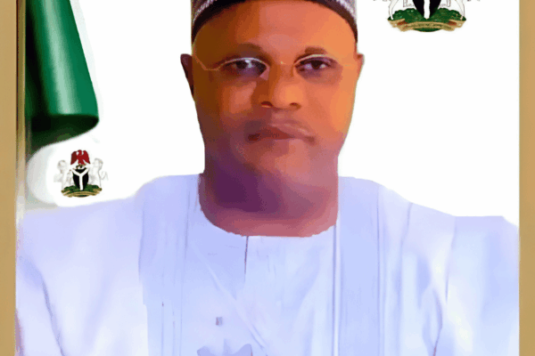 Ibrahim Haliru Dingyadi mni