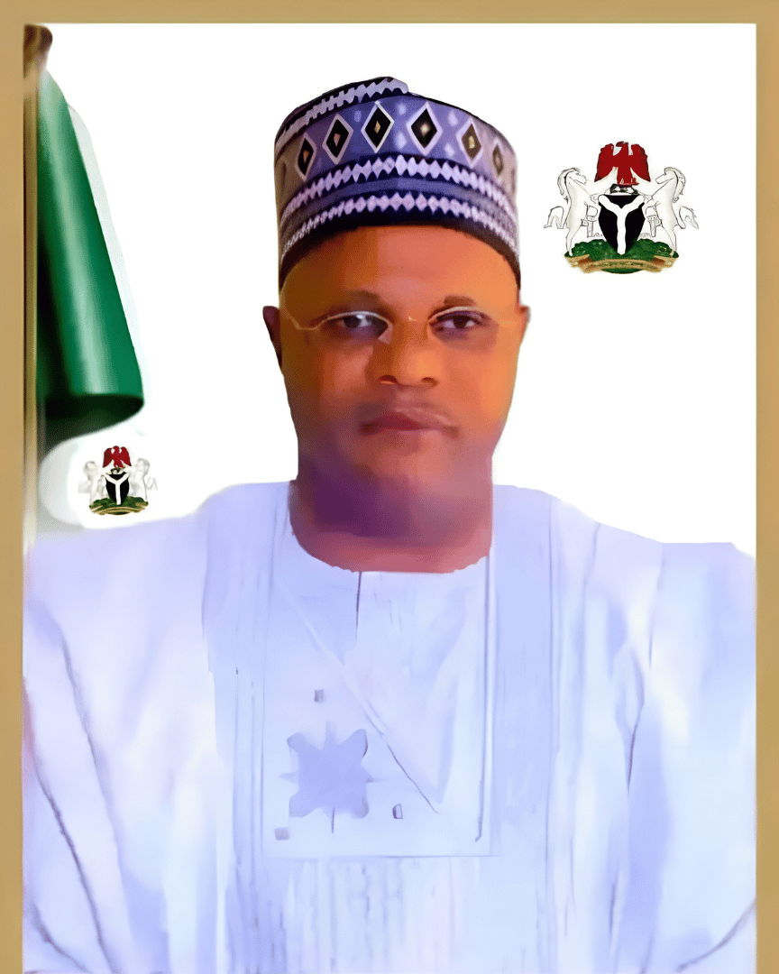 Ibrahim Haliru Dingyadi mni